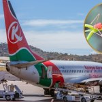 Zatrzymali na lotnisku mężczyznę. Miał w bagażu tysiące mrówek