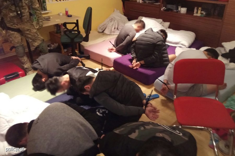 Zatrzymani członkowie gangu /Policja