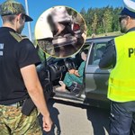Zatrzymania na granicy. Strażnicy natrafili na "niespodziankę" w bagażniku