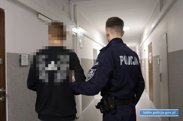 Zatrzymanie 31-latka, który nękał byłą partnerkę /Policja Dolnośląska /Materiały prasowe