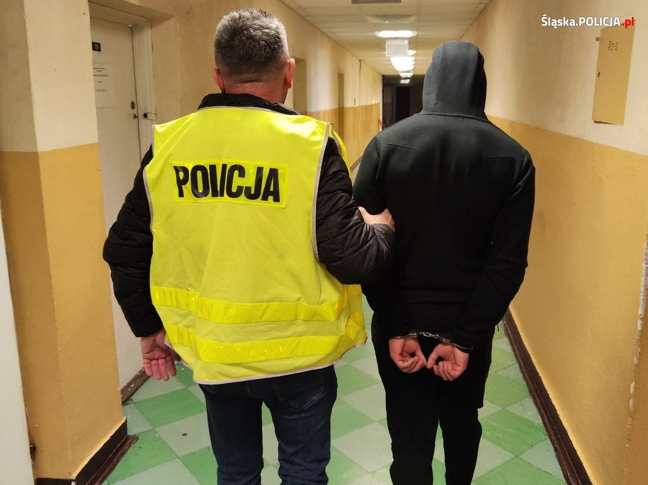 Zatrzymanie podejrzanego /KWP Katowice /Policja