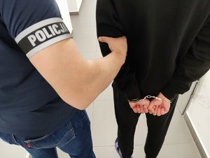 Zatrzymanie podejrzanego /KPP Będzin /Policja