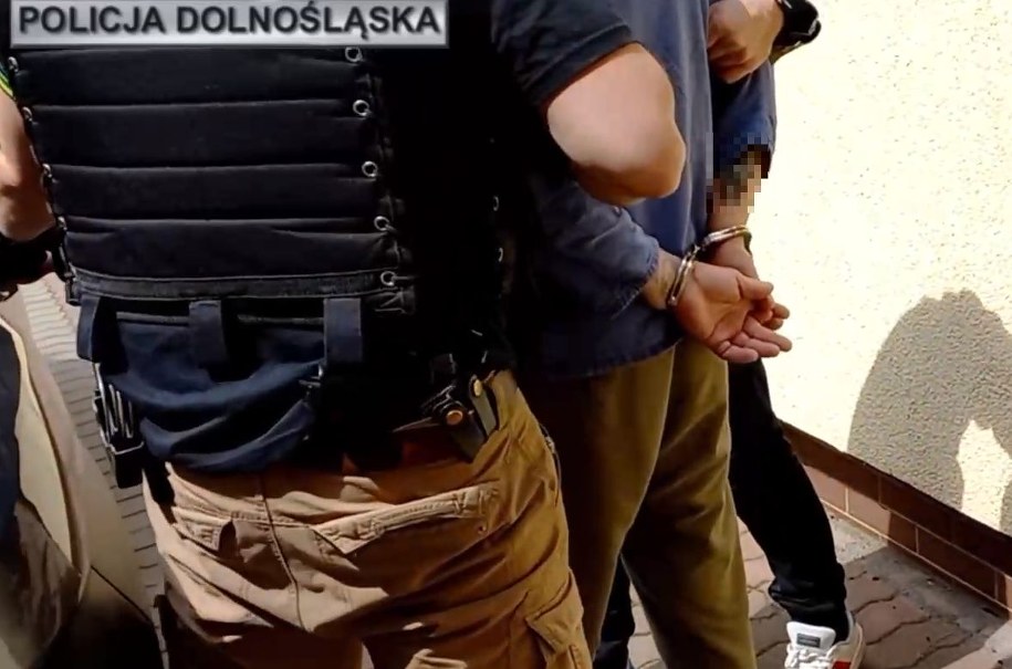 Zatrzymanie podejrzanych /Policja