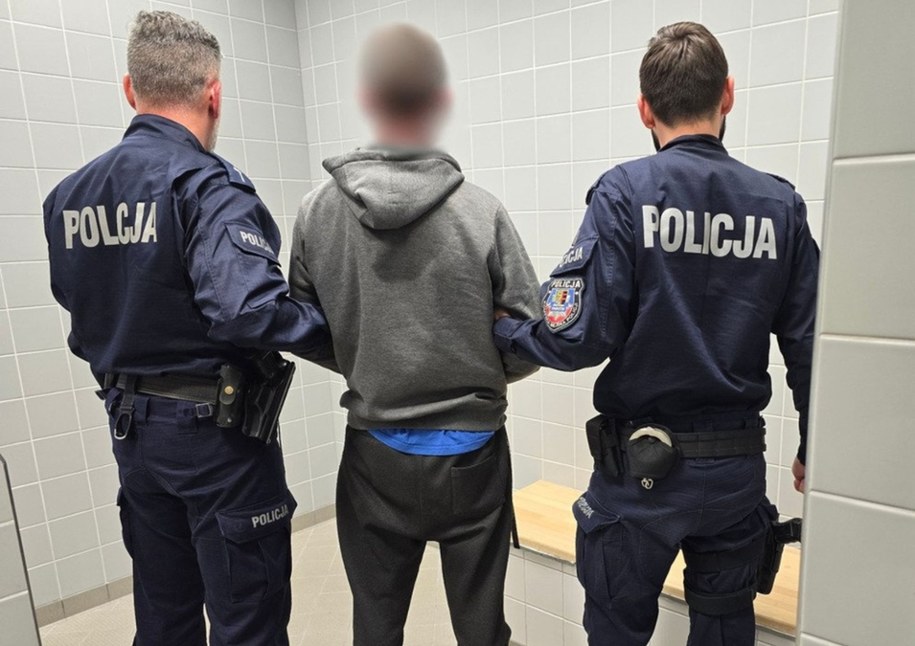 Zatrzymano 19 osób, https://chorzow.policja.gov.pl/