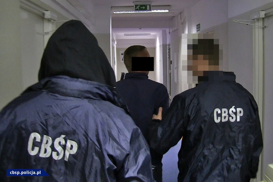 Zatrzymano 8 osób /CBŚP