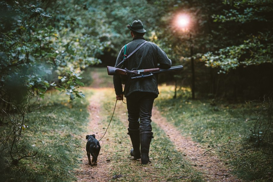 Zatrzymano sprawcę i dwóch innych myśliwych /Shutterstock