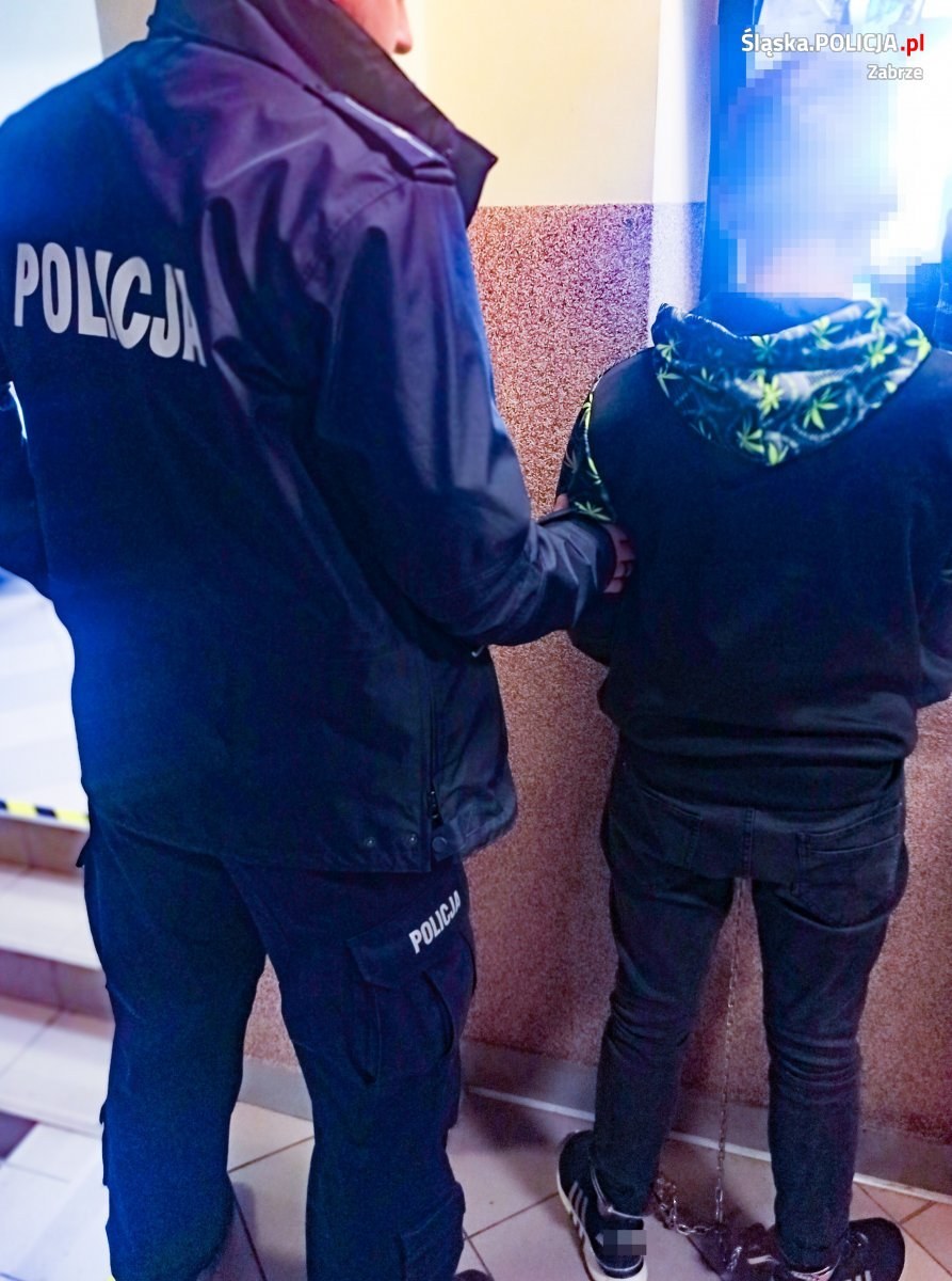 Zatrzymany 18-latek /Policja