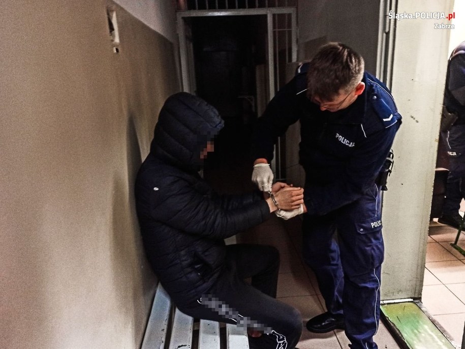 Zatrzymany 18-latka /Policja Śląska /Policja