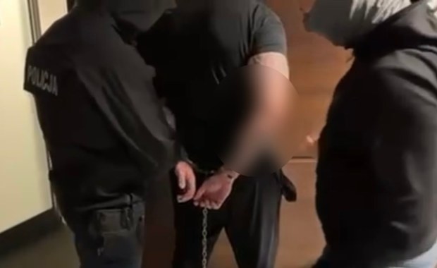 Zatrzymany na lotnisku. To on miał ukraść samochód rodziny Tuska