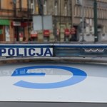 Zatrzymany, skuty kajdankami, uciekł policjantom z radiowozu. Ukrył się w... polu kukurydzy