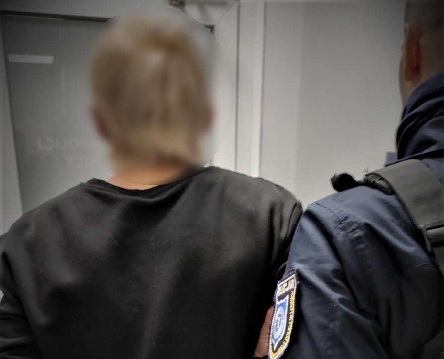 Zatrzymany sprawca kradzieży skarbonek /Policja Dolnośląska /Policja