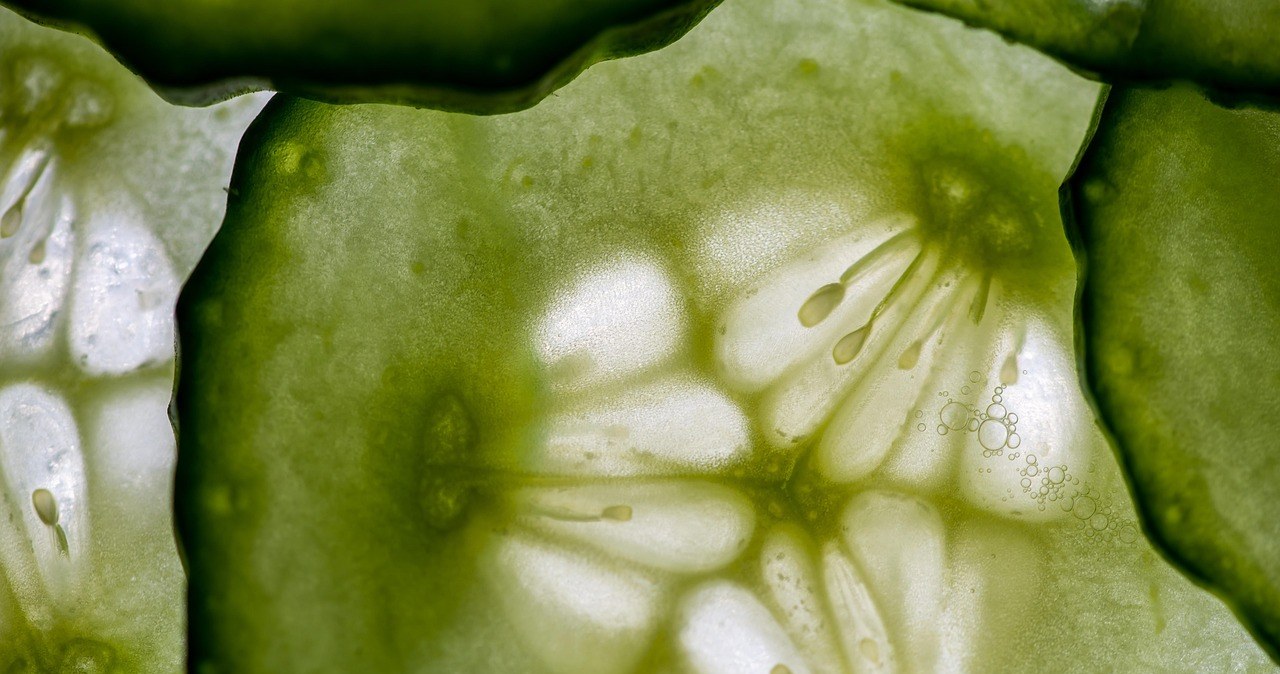 Завдяки високому вмісту води тепличні огірки добре зволожують і підтримують здоровий стан шкіри /pixabay.com