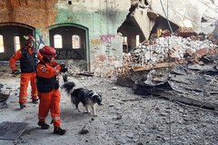  Zawaliła się stara fabryka porcelany w Wałbrzychu. Ratownicy sprawdzają gruzowisko 