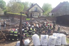 Zawalona stodoła, w niej krowy