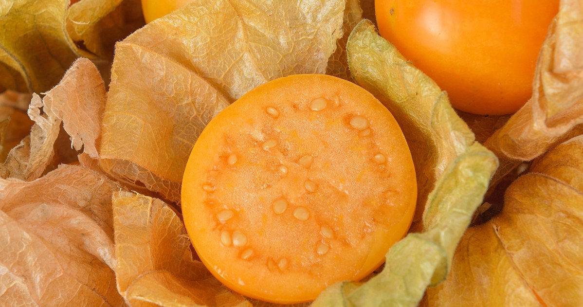 Zawarte w miechunce flawonoidy, w tym kwercetyna, pomagają obniżać poziom "złego" cholesterolu LDL i wspierają układ krążenia. /CanvaPro /INTERIA.PL