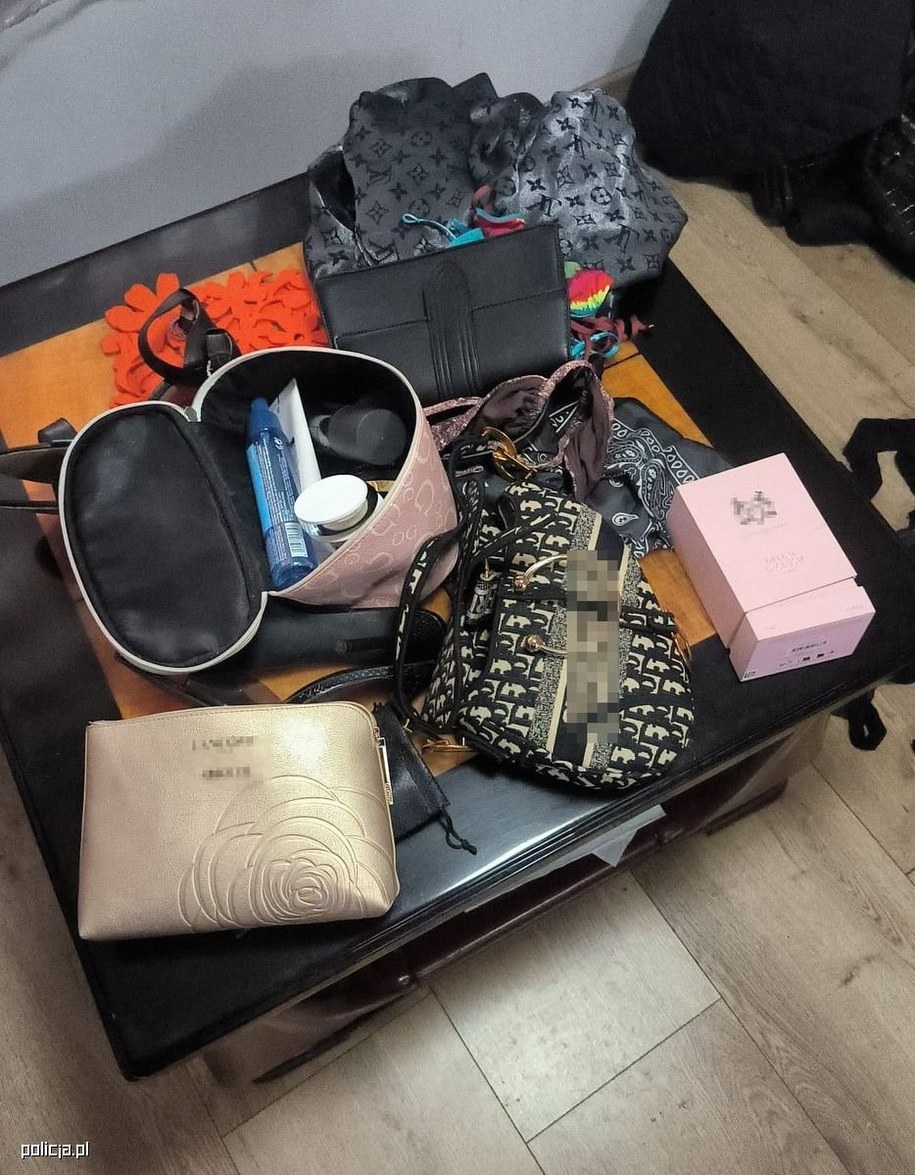 Zawartość walizki, fot. Policja Gdańsk /