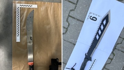 Zawodnik MMA trafi za kraty. Chodzi o udział w bójce