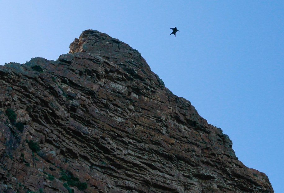 Zawodnik uprawiający wingsuit /NIC BOTHMA /PAP/EPA