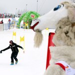 ​Zawody "Koziołka Matołka" już w ten weekend w Zakopanem