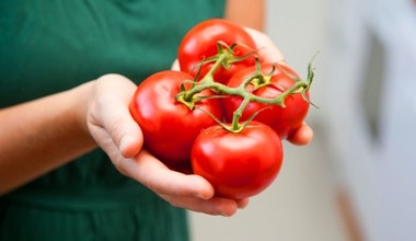 Zawsze dodawaj do pomidorów. Dzięki temu będą dużo zdrowsze