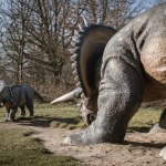 Zbadali głowę jednego z najsłynniejszych dinozaurów. Miał coś zaskakującego