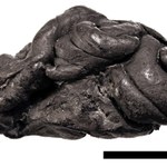 Zbadano DNA pobrane z gumy do żucia sprzed 5700 lat