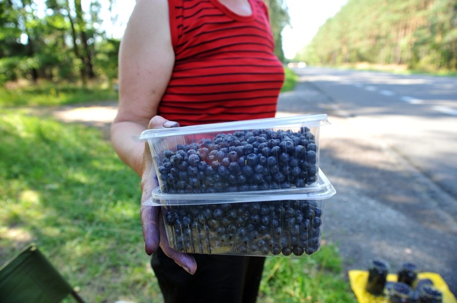 Pierwsze jagody już na rynku! Zobacz, ile zapłacisz za letni przysmak