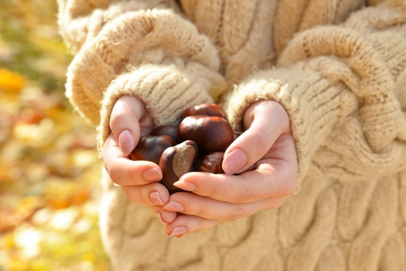Zbieraj kasztany, póki trwa na nie sezon. Wyczarujesz z nich genialne kosmetyki 
