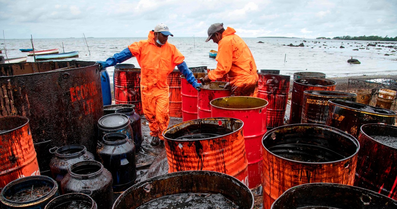 Zbieranie ropy z plaży Riviere des Creoles na Mauritiusie po przełamaniu się MV Wakashio /Deutsche Welle