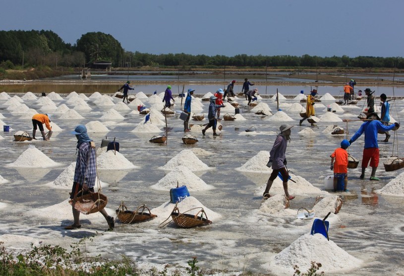 Zbieranie soli w dystrykcie Ban Laem (Tajlandia) /Tawatchai Khemgumnerd / Bangkok Post via AFP /AFP