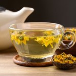 forsycja Zbierz młode kwiaty i zaparz jak herbatę. Zobacz, dlaczego warto sięgnąć po forsycję