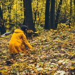Zbierz to w pierwszy dzień jesieni. Szczęście nie opuści cię do końca roku 