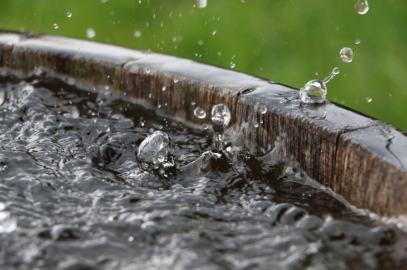 Zbiornik na deszczówkę pozwoli nam sporo zaoszczędzić na rachunkach za wodę /123RF/PICSEL