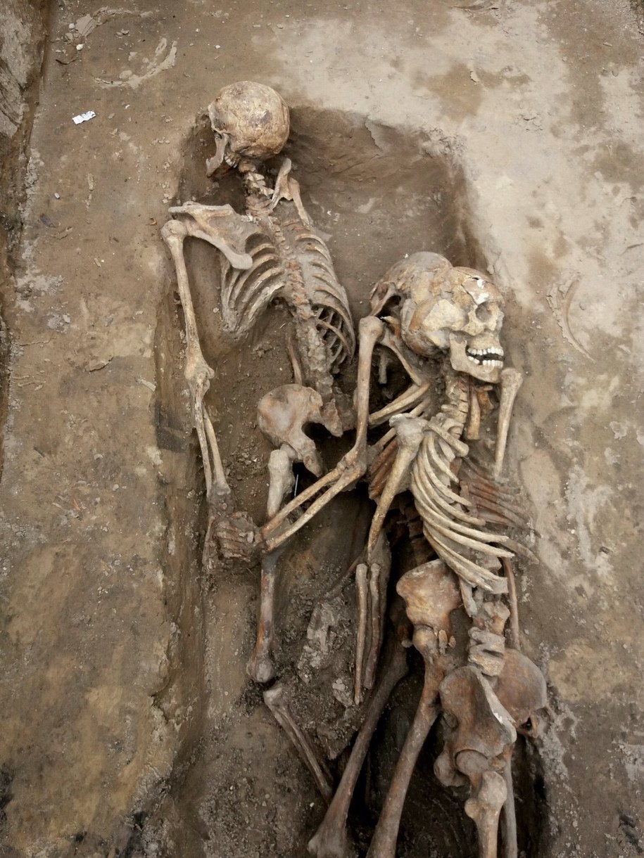 Zbiorową jamę grobową na Łączce Cmentarza Wojskowego na warszawskich Powązkach odkryto w poniedziałek. /Biuro Poszukiwań i Identyfikacji IPN /IPN