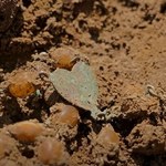 Zbiorowe mogiły w Dolinie Śmierci. IPN odkrył szczątki 100 osób