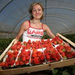 Zbiory owoców w 2011 r. wzrosną o ponad 10 proc. rdr do 3,1 mln t - ARR