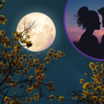 Zbliża się pełnia Księżyca Jesiotrów. 3 znaki czeka namiętna miłość 