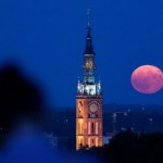 Zbliża się Truskawkowa Pełnia. Komu przyniesie szczęście?