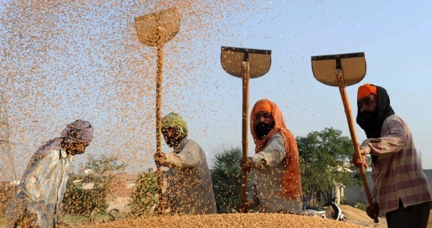 Zbliżający się monsun oraz letnie zbiory powinny przyczynić się do spadku inflacji w Indiach /AFP