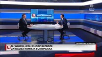 Zboże z Ukrainy zalało Polskę. Wójcik: Zawaliła Komisja Europejska, a nie rząd 