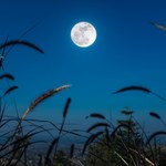 Zbożowy Księżyc nie zostawi jeńców. Niektóre znaki zodiaku czeka wstrząs 