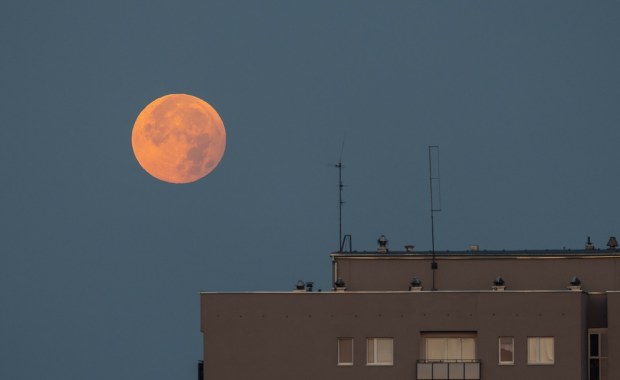 "Zbożowy Księżyc" znów zachwyci na niebie. Kiedy obserwować?