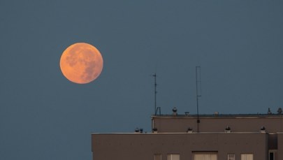 "Zbożowy Księżyc" znów zachwyci na niebie. Kiedy obserwować?