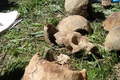 Zbrodnia katyńska: Prace ekshumacyjne w Bykowni k. Kijowa