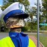 Zbudowali własnego policjanta. Kierowcy zwalniali, ale figura musiała zniknąć