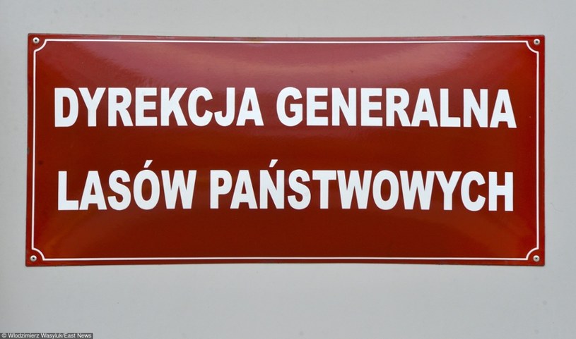 Zdaniem Jana Szyszko "zaistniały pewne fakty", które świadczyły o tym, że dąży się do celowej destabilizacji systemu leśnego w Polsce / Zdj. ilustracyjne /Włodzimierz Wasyluk /East News