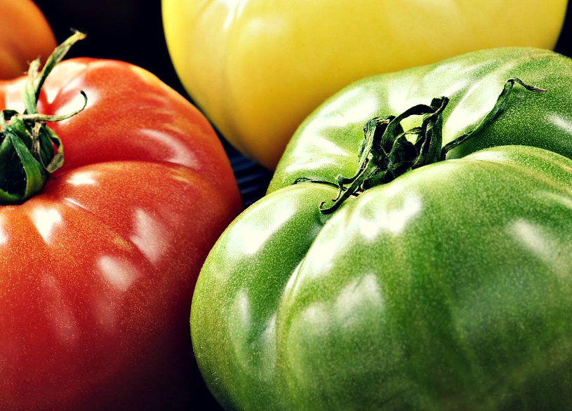 Zdaniem naukowców zielone pomidory mogą wpływać pozytywnie na nasze mięśnie chroniąc je dodatkowo przed zanikiem /123RF/PICSEL