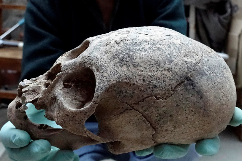 Zdeformowane czaszki wiązane są z kulturą Inków /YouTube