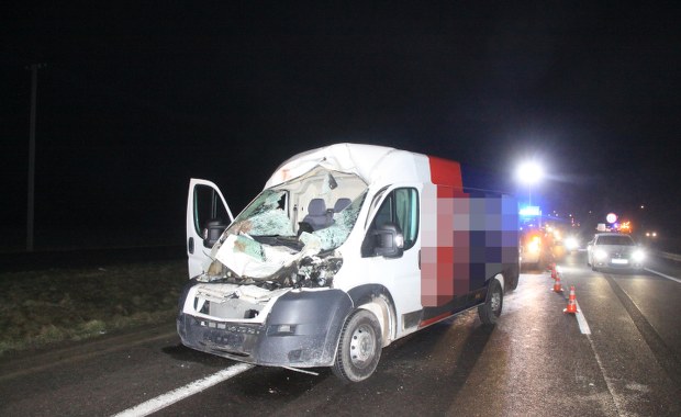 Zderzenie 4 aut z łosiem. Lądował śmigłowiec LPR