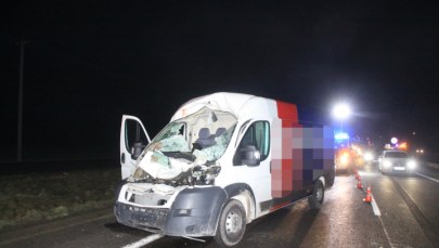 Zderzenie 4 aut z łosiem. Lądował śmigłowiec LPR